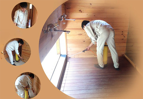 Diệt  mối trọn gói Phủ Lý